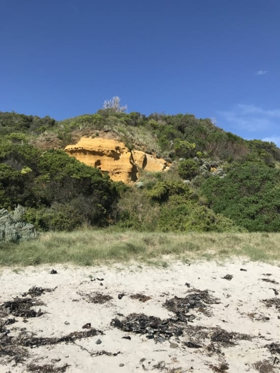 Magnifiques paysages ?