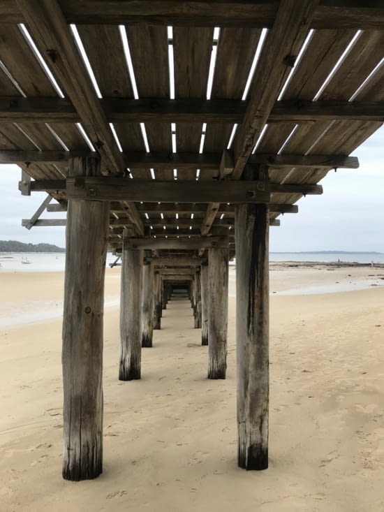 Réserve naturelle de Point Léo pour une balade matinale en attendant le soleil ☀️