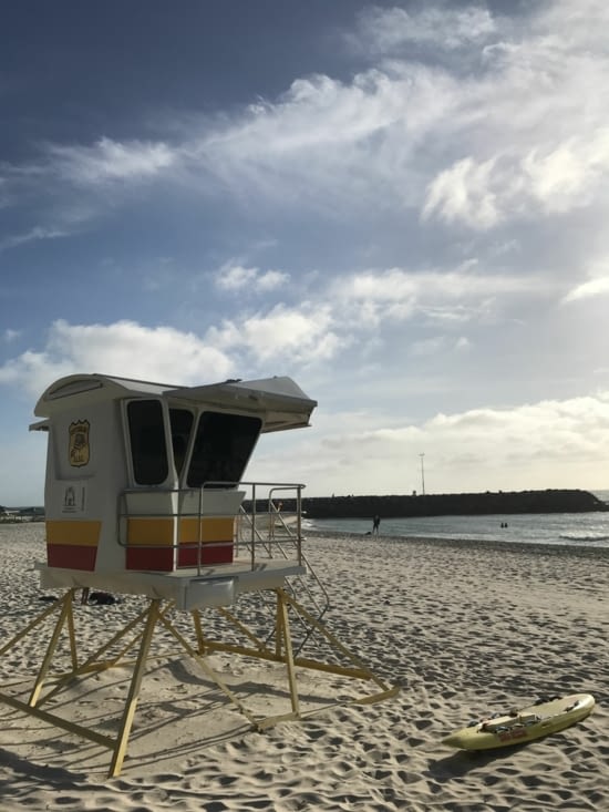 Cottesloe Beach et ses "Lifeguards on Duty" ⚓️
