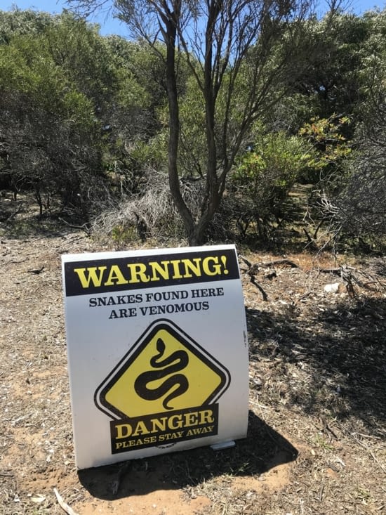 Attention ⚠️ !!! On regarde où nous mettons les pieds ici !