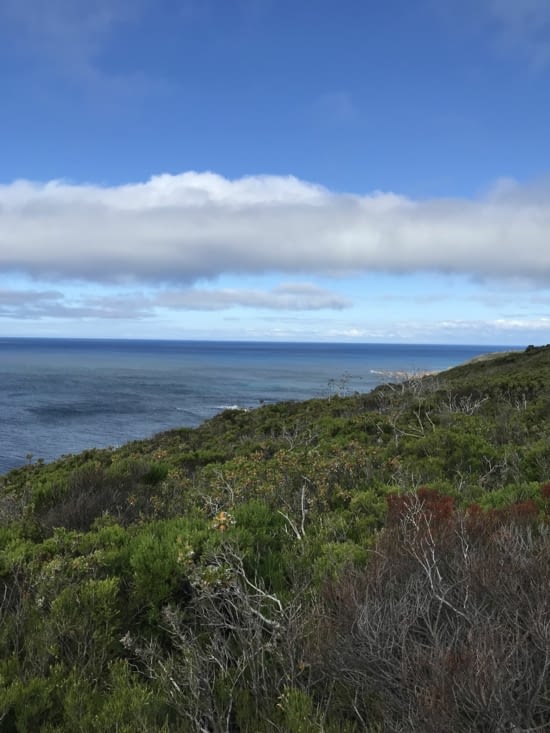 La mer à 360* et baleines repérées ! ?