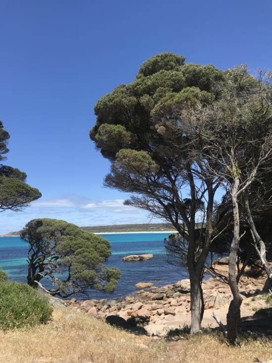 Shelley cove ! Parfait spot pour un nouveau pique nique 5 étoiles !⭐️⭐️⭐️⭐️⭐️