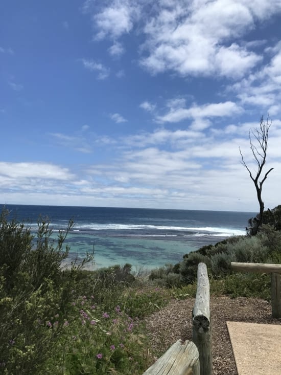 Surfeurs à l’eau - gros reef - board commandée !