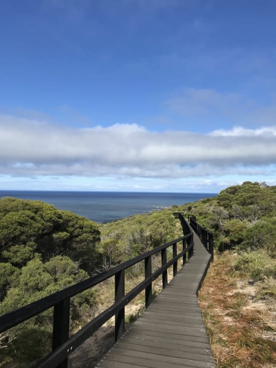 Trail sur le cap Naturaliste ! ?