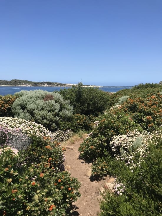 C’est vraiment le printemps ici ??