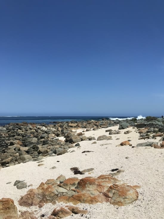 Première rencontre avec les surfeurs locaux ??‍♂️