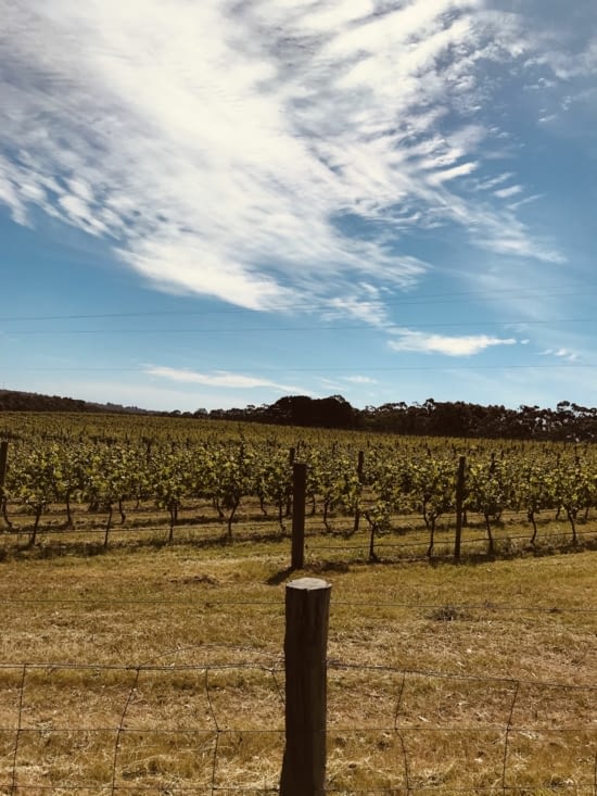Région des vignobles ?