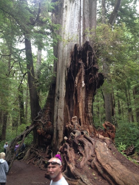 Sur la route de la côte en direction de l'Oregon avec John en premier plan, un de mes chauffeurs :)