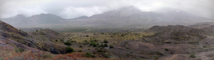 Panorama du Volcan avec un peu partout cette mousse verte fluo.
