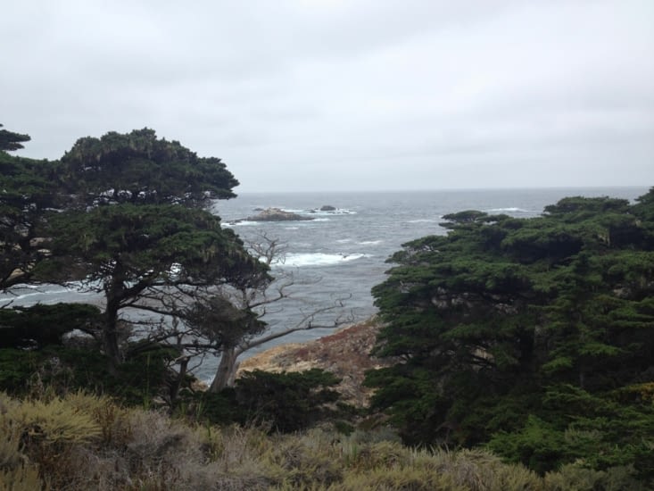 Point Lobos state park