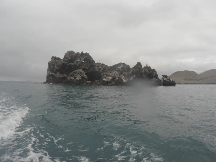 Septième jour : le matin, snorkelling avorté au large de l'île de Floreana pour cause de méduses