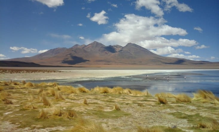 ... Et des lagunas et des flamands roses... Laguna Cañapa