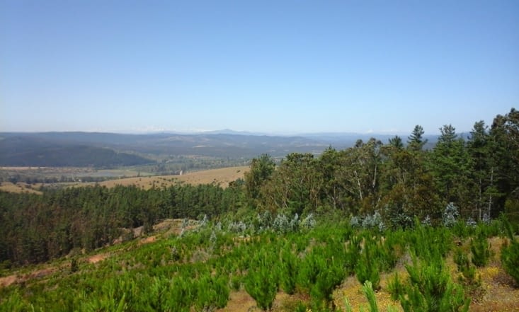 Vue sur les Andes depuis la cordillère côtière