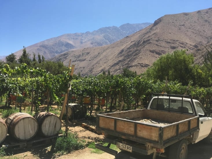 Visite d'une pisquera artisanale - Dona Josepha