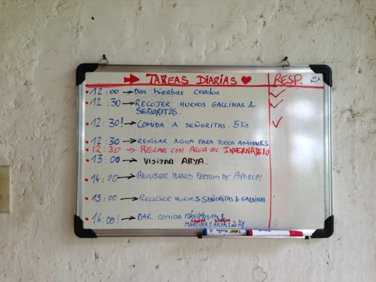 Notre tableau des tâches quotidiennes !