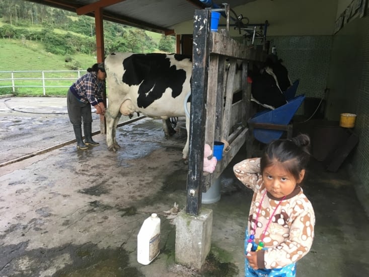 On va chercher du lait chez la voisine, Javier le vend dans sa boutique située à Quito