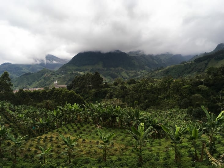 On ne se lasse pas de ces paysages verdoyants <3