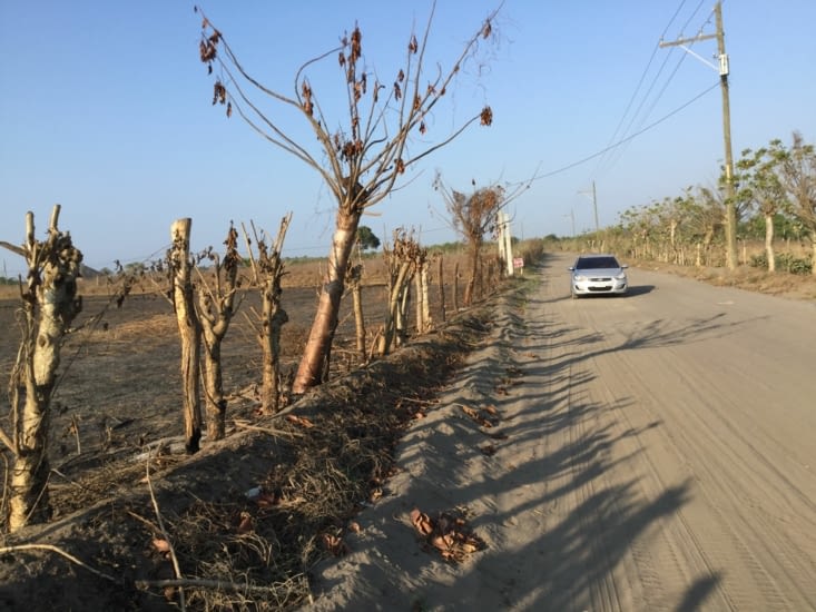 C’est nous dans la voiture, on est presque arrivé!