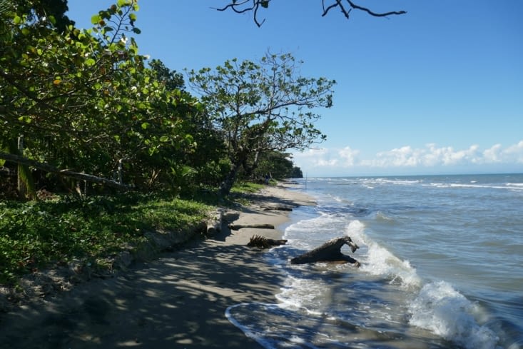 Restons optimiste. La végétation rentre presque dans l’ocean .