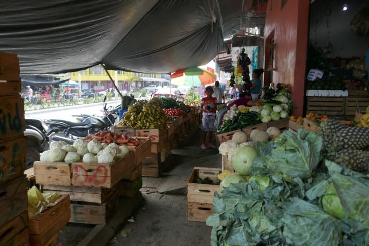 C’est pas écrit mais c’est sûr, c’est du bio les fruits et légumes!