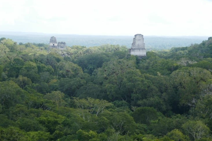 Vue du sommet, à un peu plus de 60 mètres de hauteur.