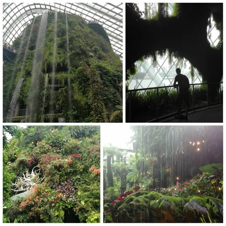 Cloud Forest (Gardens by the Bay)