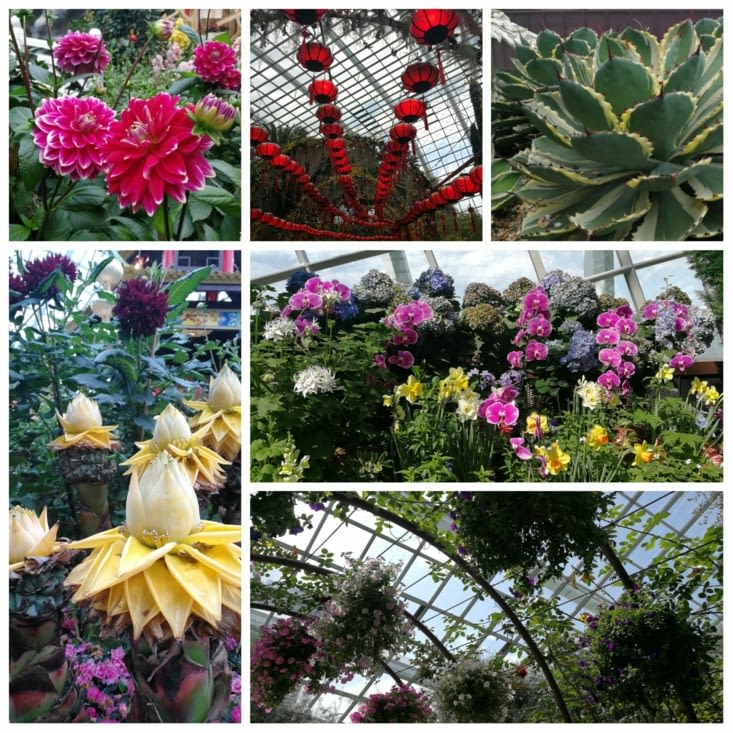 Flower Dome (Gardens by the Bay)