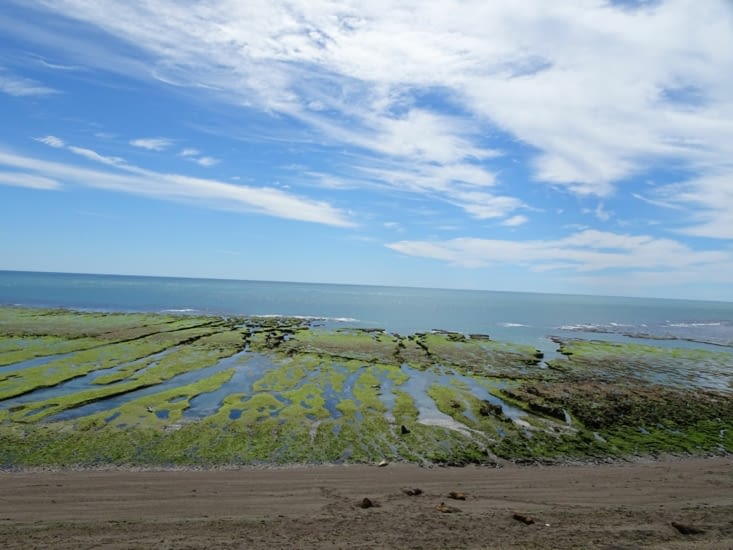 Punta norte dans la péninsule