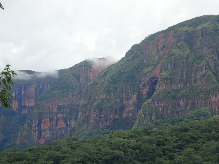 Ici marque la fin de l"Amazonie