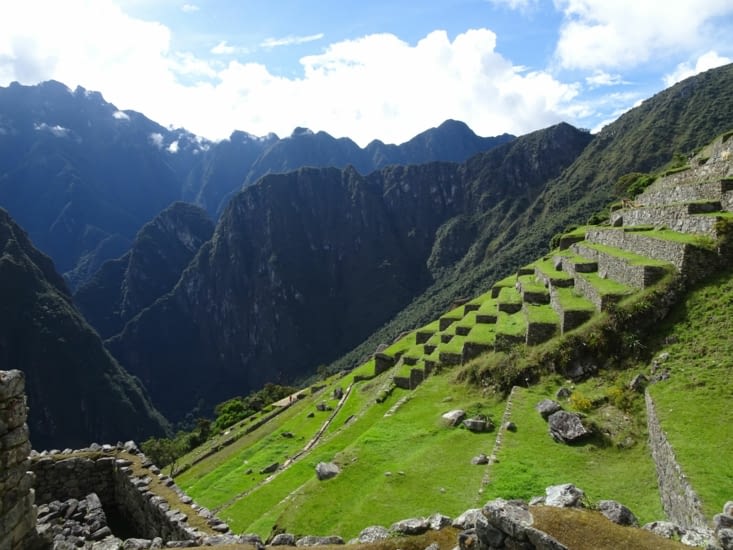 Anciens champs Inca en terrasse