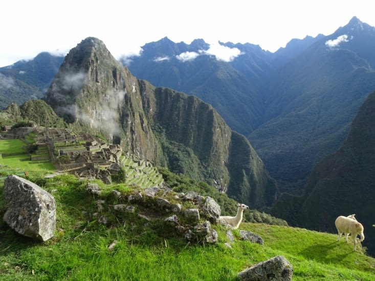 Il y a même les lamas ^^