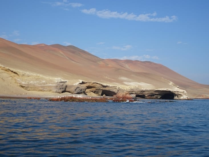 La réserve naturelle de Paracas