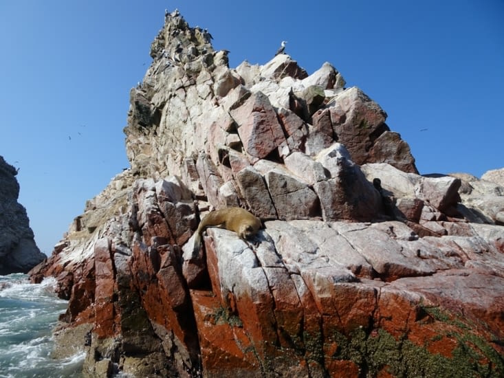 Tout le monde à son poste !