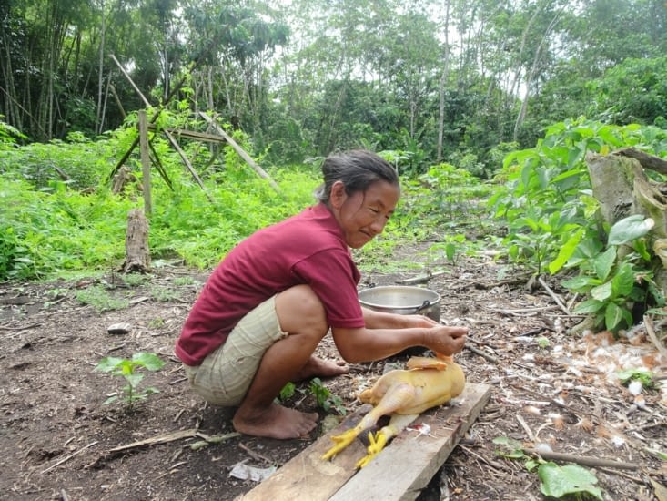 Et hop un poulet à midi s'il vous plait