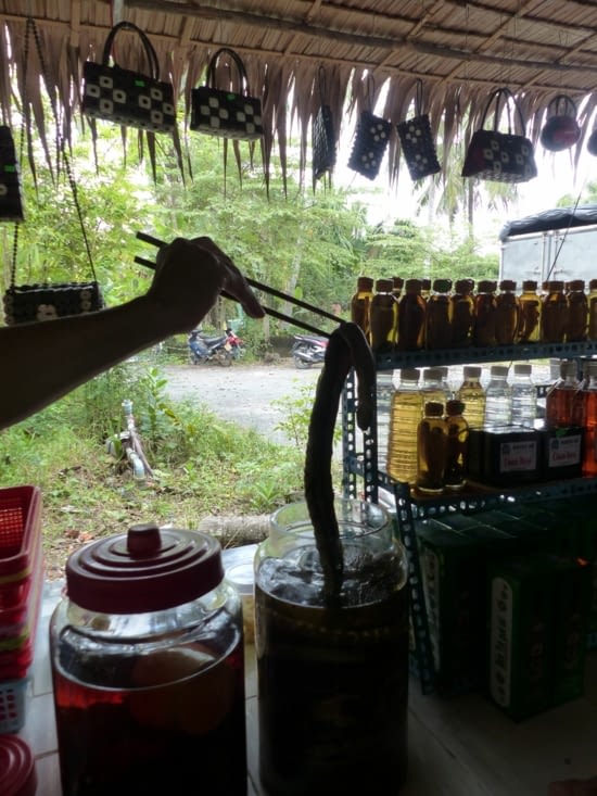 Découverte de l'alcool de serpent (rượu rắn)