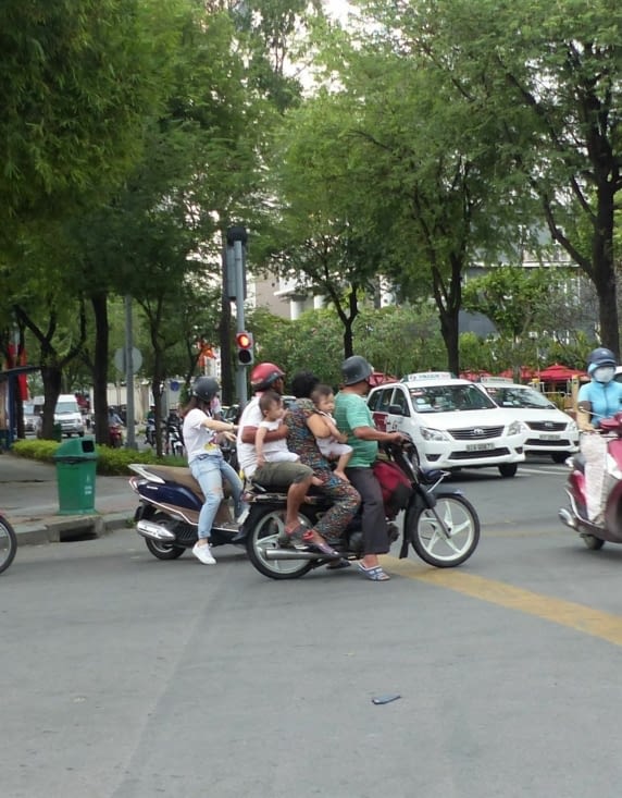 Après avoir vu des cochons, des poules, toute sorte d'objets...