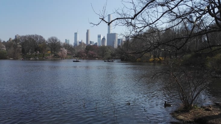 Central Park, tellement reposant...