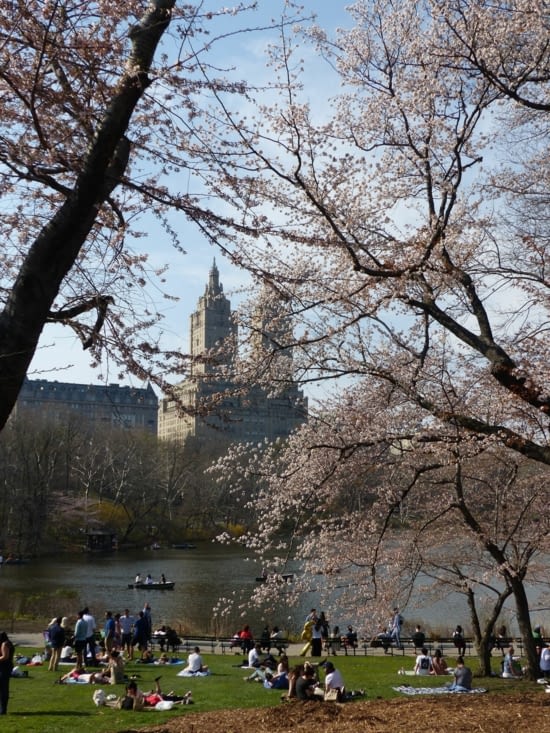 Une magnifique journée ensoleillée.