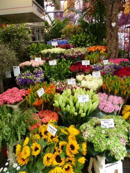 Amsterdam et ses fleurs...