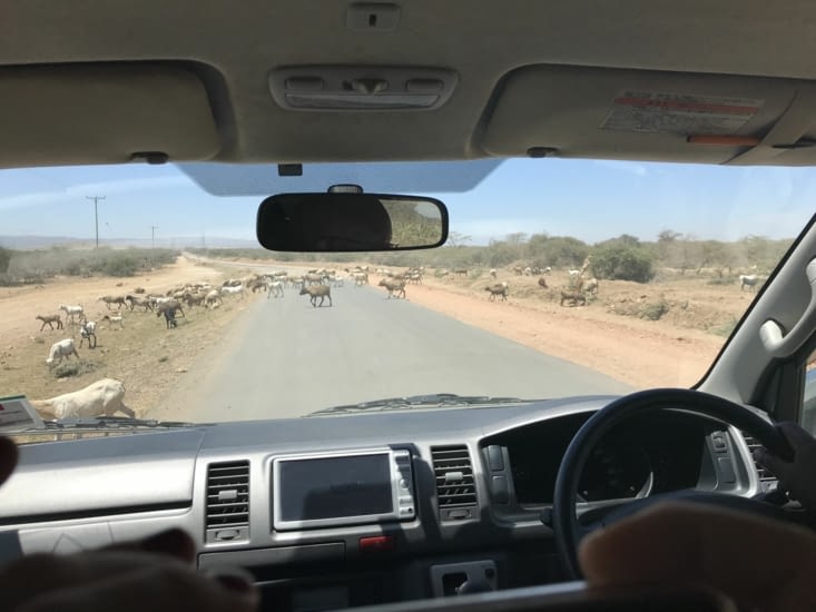 sur la route pour masai mara