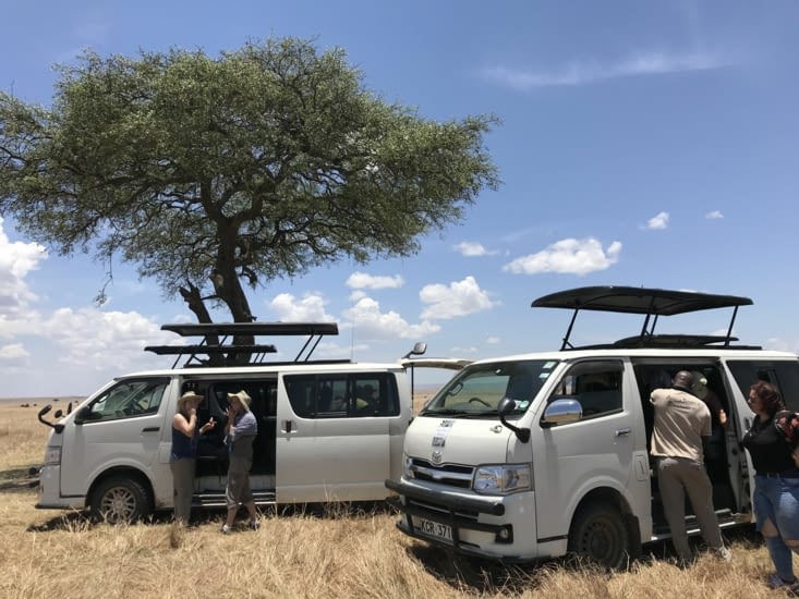 déjeuner dans la brousse
