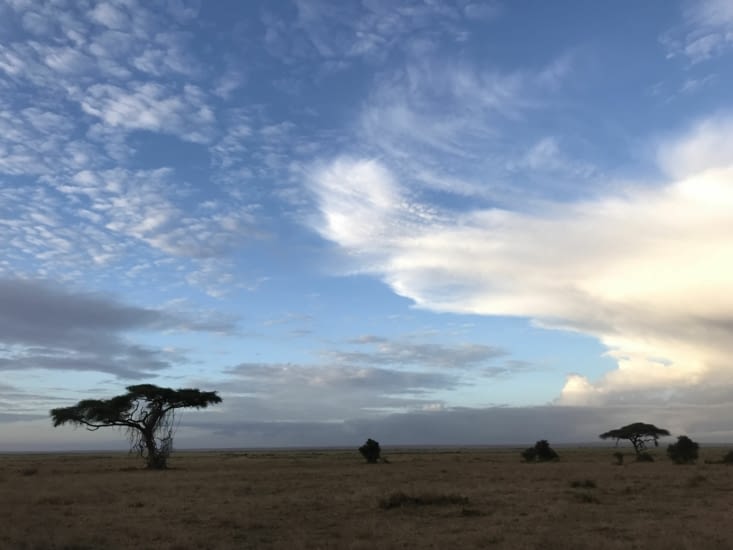 Parc Amboseli
