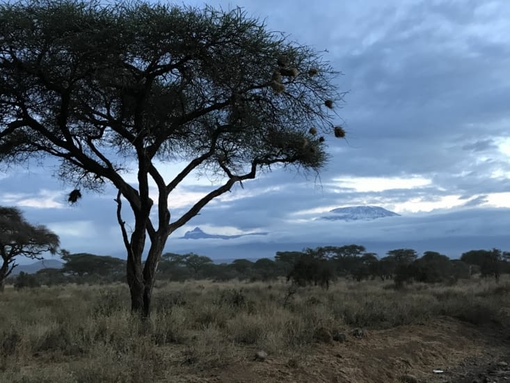 Parc Amboseli