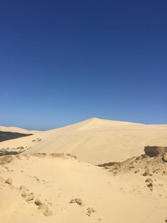 Te Paki Giant sand dunes (on peut louer une luge pr la descendre!:))