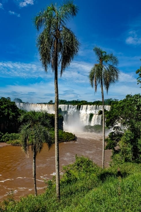 Les chutes (côté Argentine)