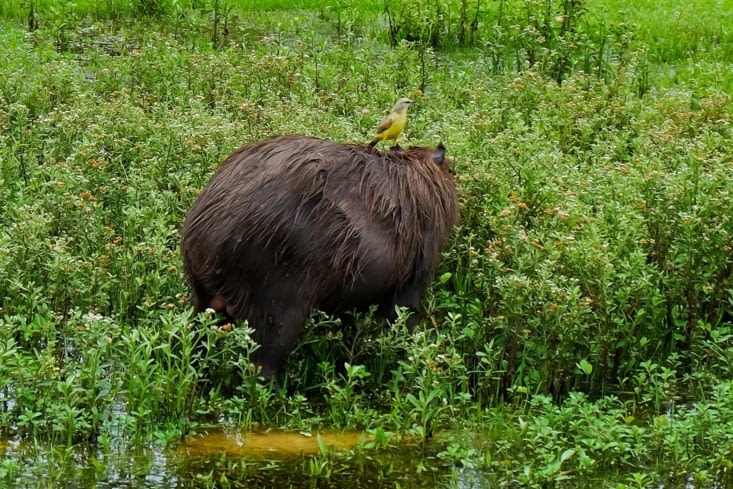 Balade dans les sentiers pédestres - Team working
