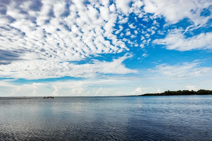 Balade en barque sur les Esteros Del Iberá