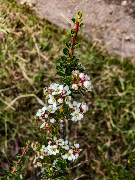 Senderos de los Condores y las Águilas