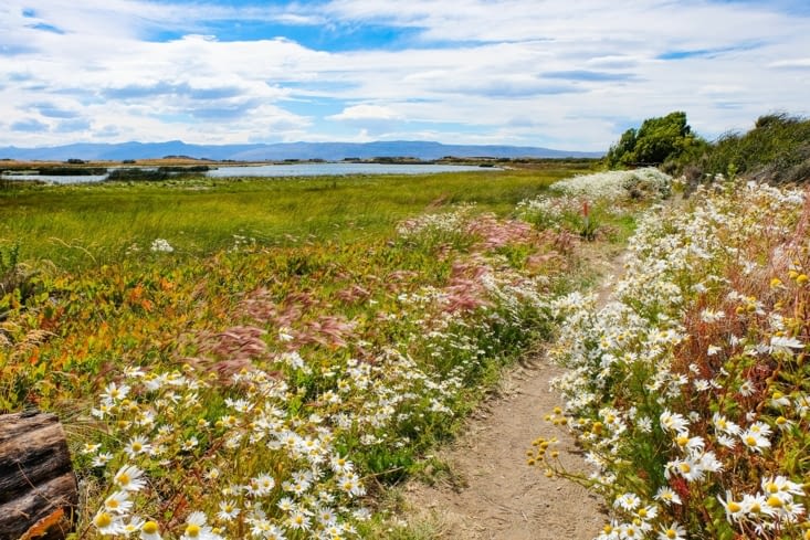 Reserva Laguna Nimez