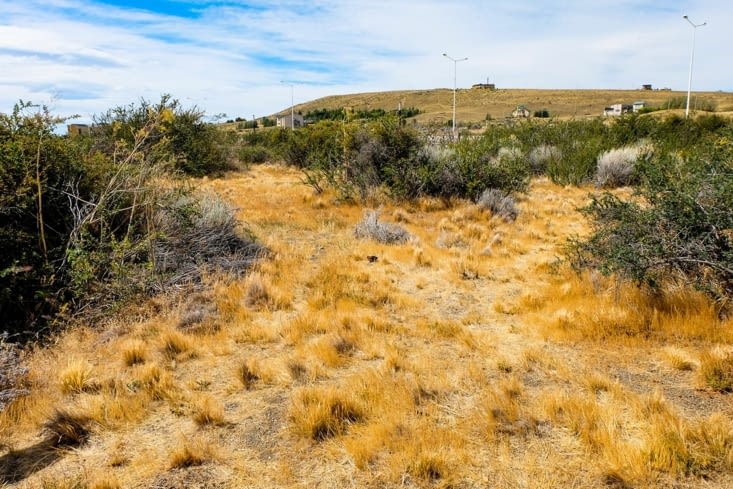 Reserva Laguna Nimez